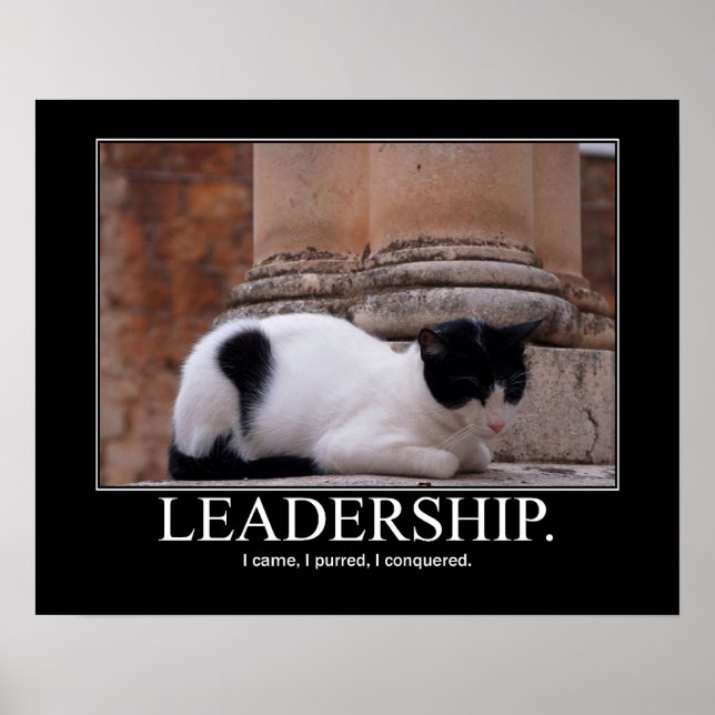 Leadership Cat Artwork Poster (Front)