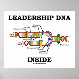 Leadership DNA Inside (Biology Attitude) Poster