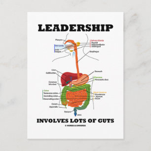 Leadership Involves Lots Of Guts (Digestive Humour Postcard