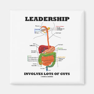 Leadership Involves Lots Of Guts (Digestive Magnet