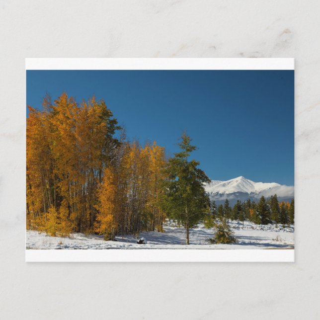 Leadville Autumn Views Postcard (Front)