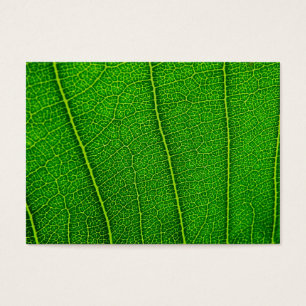Leaf