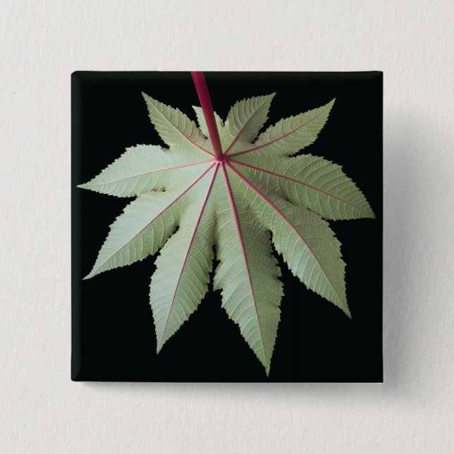 Leaf and Stem 15 Cm Square Badge (Front)