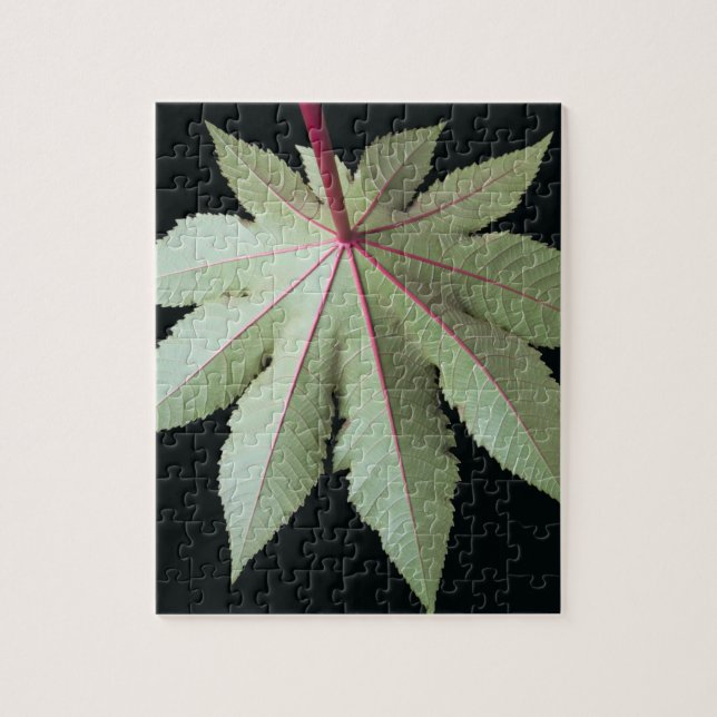 Leaf and Stem Jigsaw Puzzle (Vertical)
