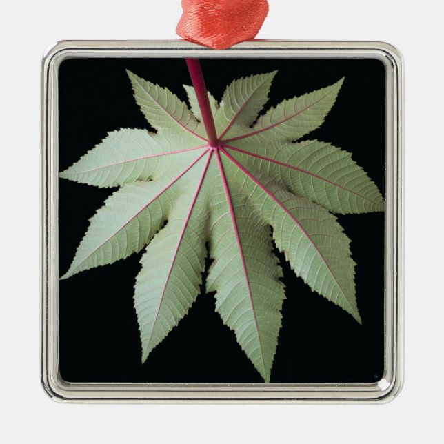 Leaf and Stem Metal Tree Decoration (Front)