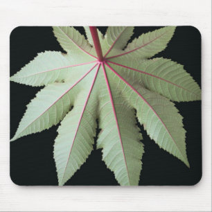 Leaf and Stem Mouse Pad