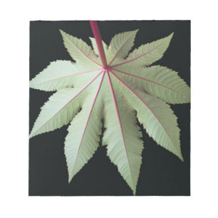Leaf and Stem Notepad