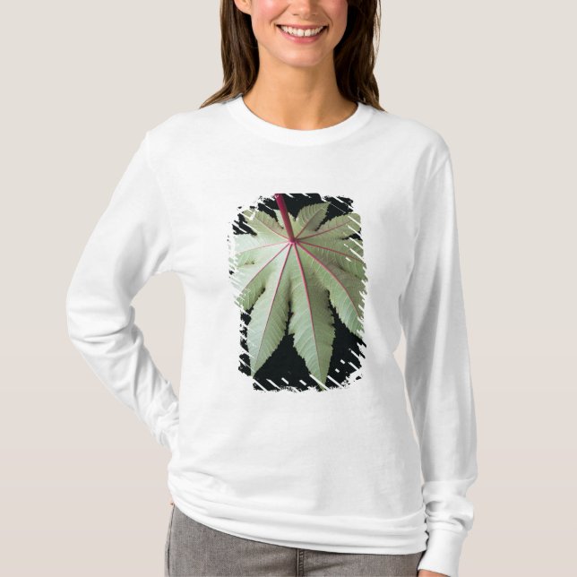 Leaf and Stem T-Shirt (Front)