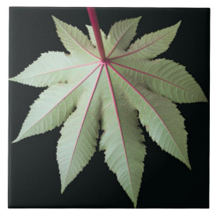 Leaf and Stem Tile