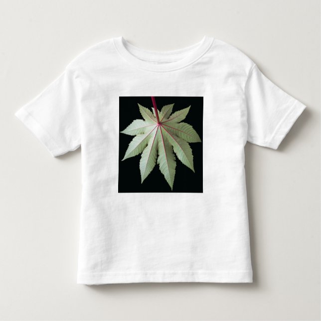 Leaf and Stem Toddler T-Shirt (Front)