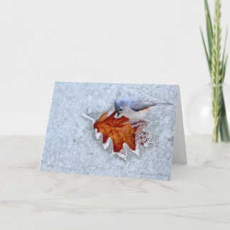 Leaf and Tufted-Titmouse-Thoreau quote Card