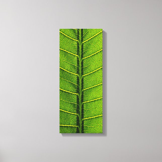 Leaf Canvas Print (Front)