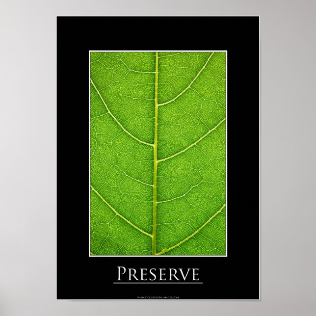 Leaf close-up Poster (Front)