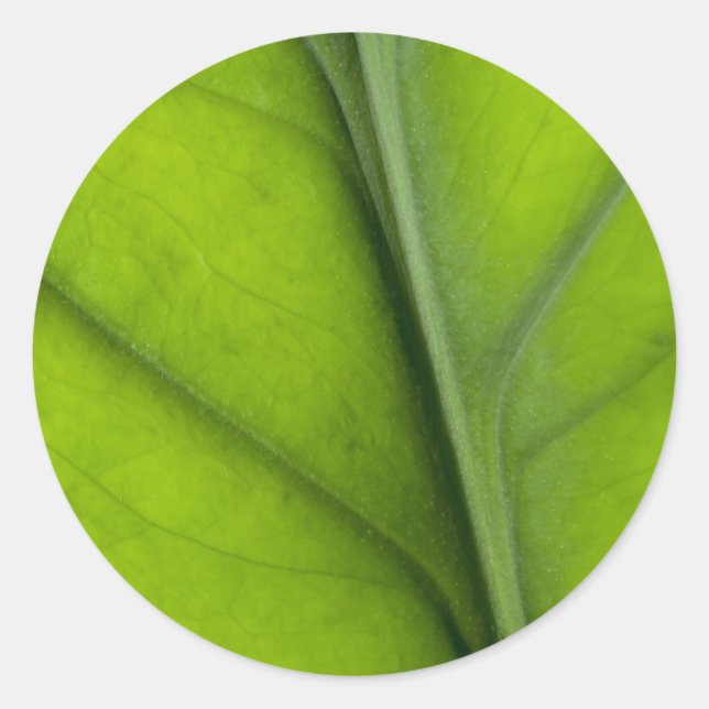 Leaf closeup classic round sticker (Front)