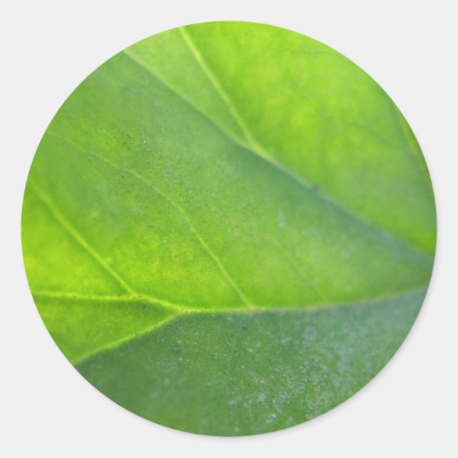 Leaf Closeup Sticker (Front)