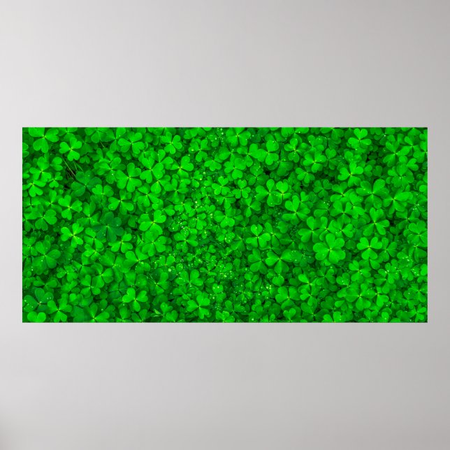 Leaf clover green shamrock spring poster (Front)