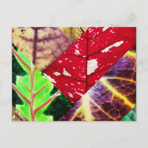 Leaf Collage Postcard
