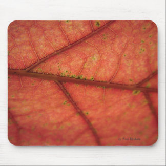 Leaf Detail Mouse Pad