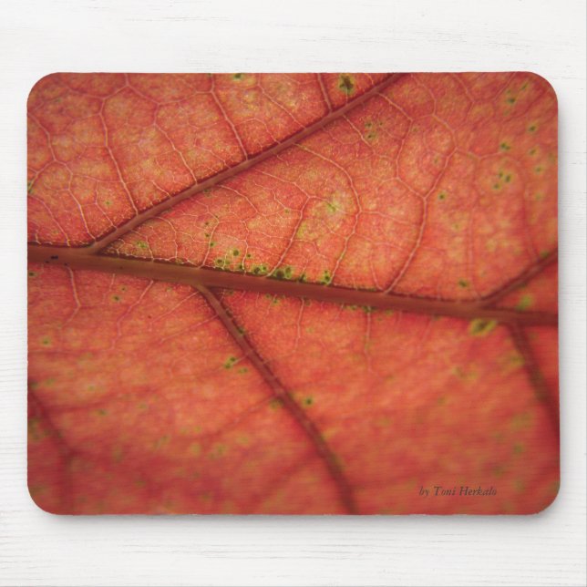 Leaf Detail Mouse Pad (Front)