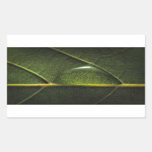 Leaf Droplets Rectangular Sticker