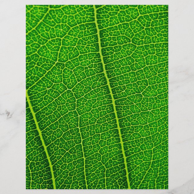 Leaf Flyer (Front)