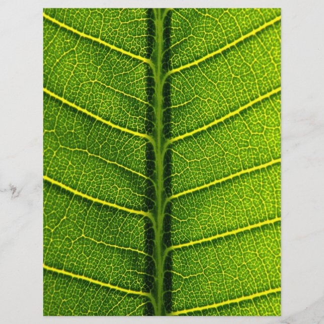 Leaf Flyer (Front)