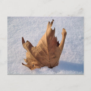 Leaf in the snow,when autumn meets the winter postcard