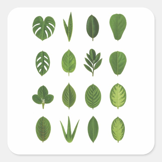 Leaf it to Nature Square Sticker (Front)