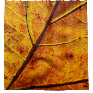 Leaf leaf veins fall texture shower curtain