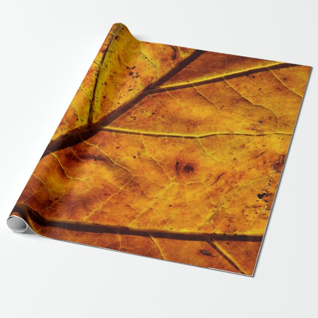 Leaf leaf veins fall texture wrapping paper (Unrolled)