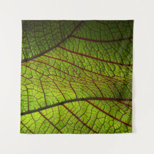Leaf macro veins leaf veins green tapestry