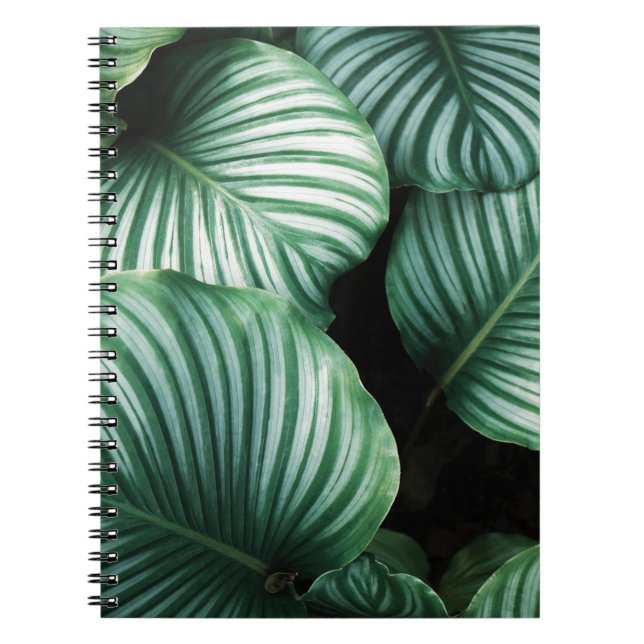 leaf me alone notebook (Front)