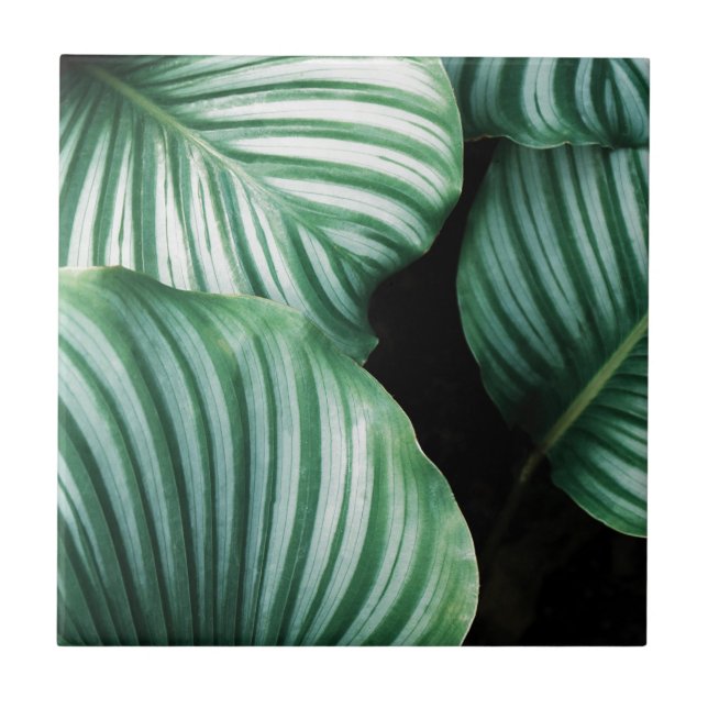 leaf me alone tile (Front)