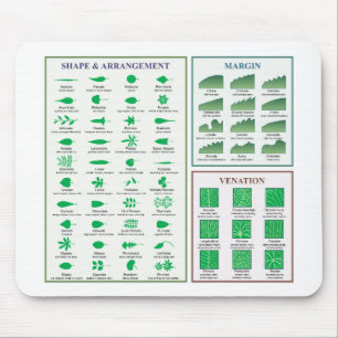 Leaf Morphology Chart Margin Shape Venation  Mouse Pad