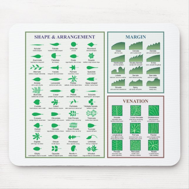 Leaf Morphology Chart Margin Shape Venation  Mouse Pad (Front)
