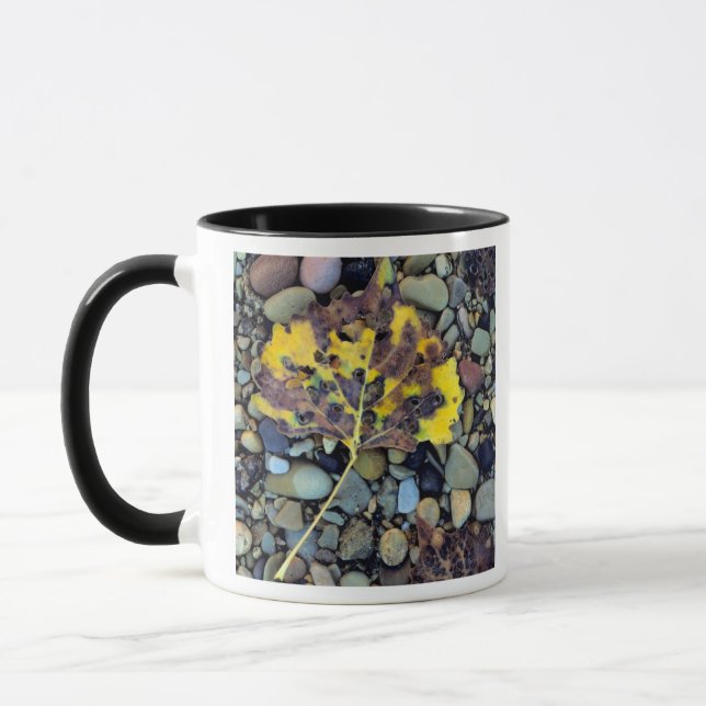 Leaf of Fremont cottonwood on flood plain Mug (Left)