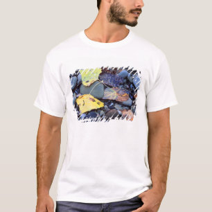 Leaf of Fremont cottonwood on flood plain T-Shirt