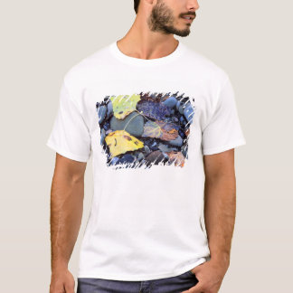 Leaf of Fremont cottonwood on flood plain T-Shirt