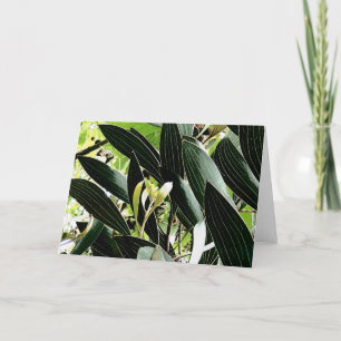 leaf pattern holiday card