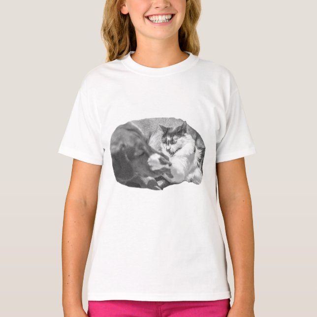 Leaf-Pile Diplomacy T-Shirt (Front)