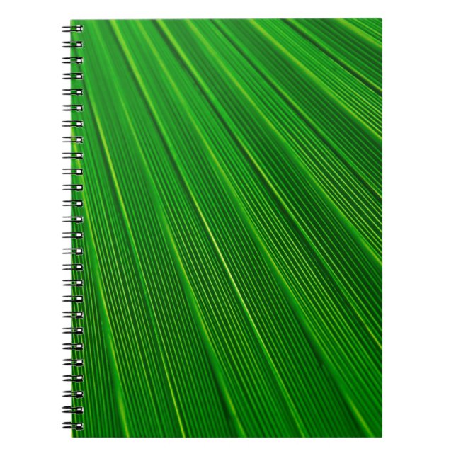 Leaf plant background palm green notebook (Front)