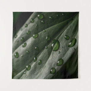 Leaf plant texture drops water tapestry