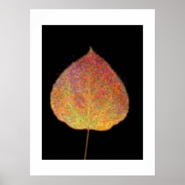 Leaf Poster (Front)