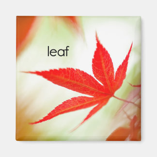 Leaf Refrigerator Magnet