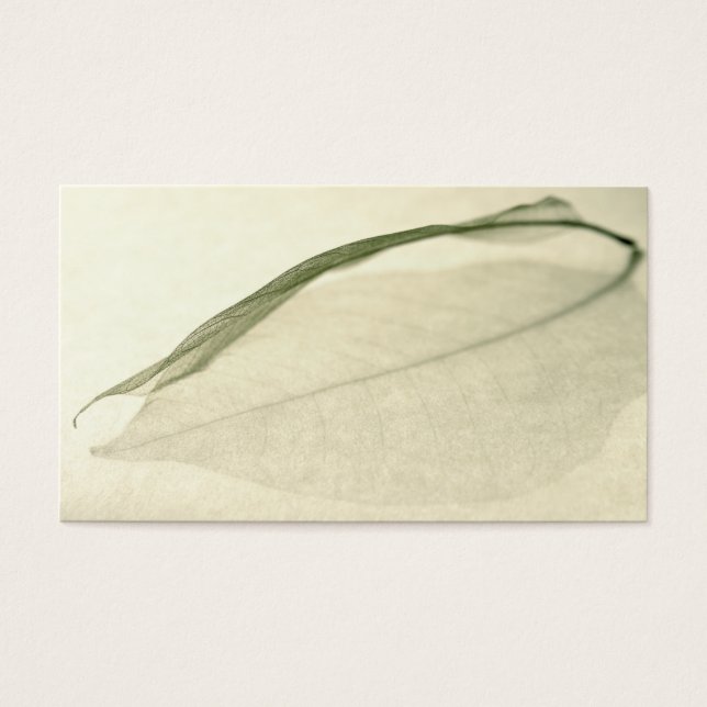 leaf skeleton (Front)