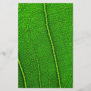 Leaf Stationery