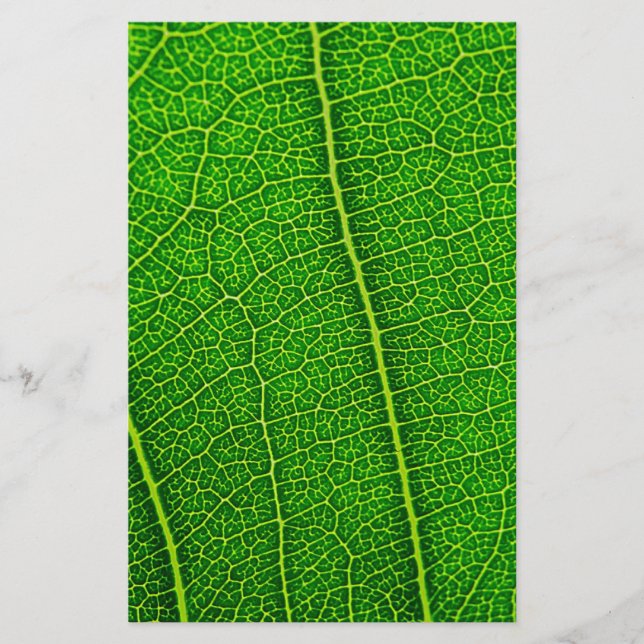 Leaf Stationery (Front)