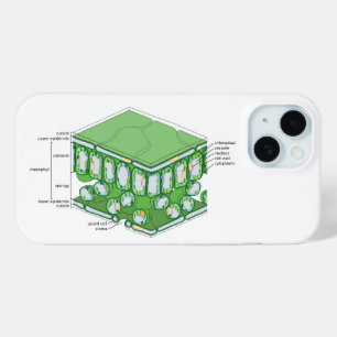 Leaf Tissue Structure Plant Cell Diagram Chart  iPhone 15 Case