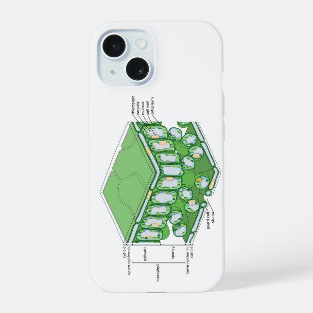 Leaf Tissue Structure Plant Cell Diagram Chart  iPhone 15 Case (Back)