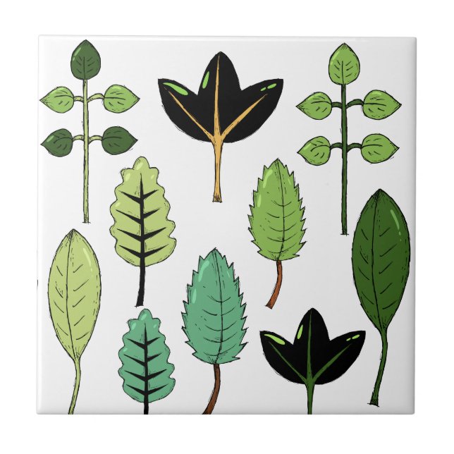 Leaf Variety Ceramic Tile (Front)